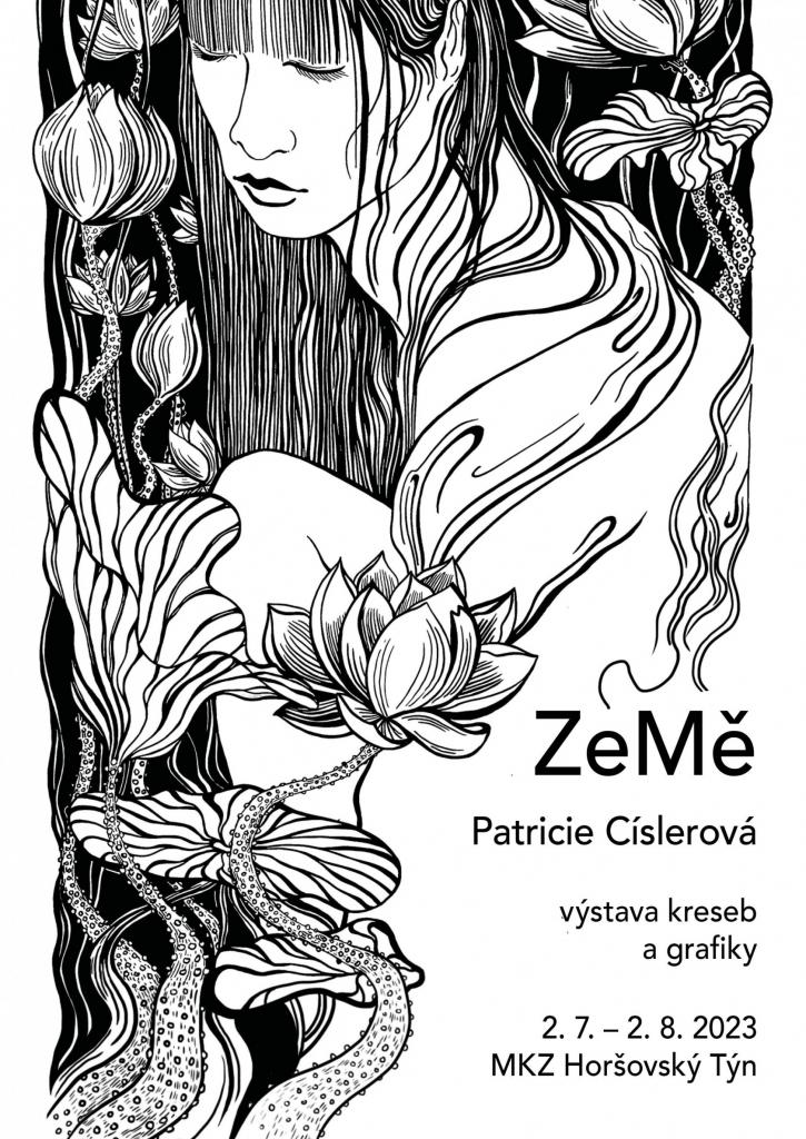 plakat