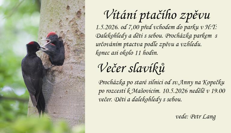 ptačí zpěv