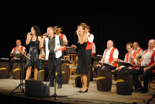 Koncert Budvarka